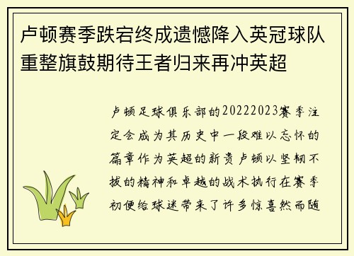 卢顿赛季跌宕终成遗憾降入英冠球队重整旗鼓期待王者归来再冲英超